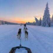 ヒメ日記 2025/12/21 17:51 投稿 初／うい 五反田アネージュ（ユメオト）