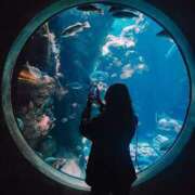 ヒメ日記 2026/01/05 04:49 投稿 初／うい 五反田アネージュ（ユメオト）