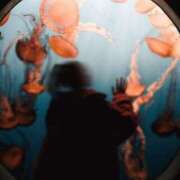 ヒメ日記 2026/01/05 17:11 投稿 初／うい 五反田アネージュ（ユメオト）