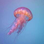 ヒメ日記 2026/01/25 18:43 投稿 初／うい 五反田アネージュ（ユメオト）