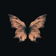 ヒメ日記 2026/02/04 05:00 投稿 初／うい 五反田アネージュ（ユメオト）