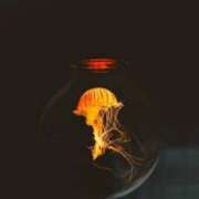 ヒメ日記 2026/02/06 04:12 投稿 初／うい 五反田アネージュ（ユメオト）