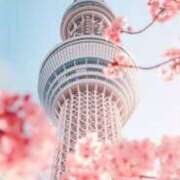 ヒメ日記 2026/02/11 02:42 投稿 初／うい 五反田アネージュ（ユメオト）