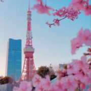 ヒメ日記 2026/02/18 15:11 投稿 初／うい 五反田アネージュ（ユメオト）