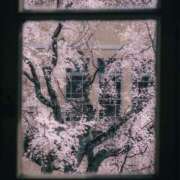 ヒメ日記 2026/03/01 15:14 投稿 初／うい 五反田アネージュ（ユメオト）