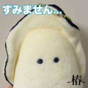 ヒメ日記 2025/08/11 11:21 投稿 椿 Grace東京