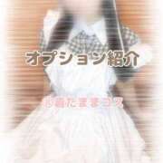 ヒメ日記 2025/08/16 00:57 投稿 みおん しゃんぜりぜ