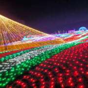 ヒメ日記 2025/12/24 20:44 投稿 みづき 人妻ちゃんねる