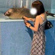 ヒメ日記 2025/09/10 22:31 投稿 さえ マリン土浦本店