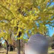 ヒメ日記 2025/11/12 20:41 投稿 さえ マリン土浦本店