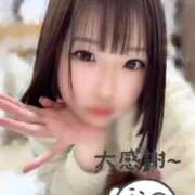 ヒメ日記 2025/12/19 19:31 投稿 さえ マリン土浦本店