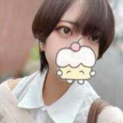 ヒメ日記 2025/05/25 00:30 投稿 るり（新人割引5/27まで） ウルトラグレイス24