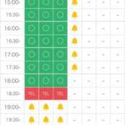 ヒメ日記 2025/06/19 00:20 投稿 るり（新人割引5/27まで） ウルトラグレイス24