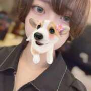 ヒメ日記 2025/06/21 17:50 投稿 るり（新人割引5/27まで） ウルトラグレイス24