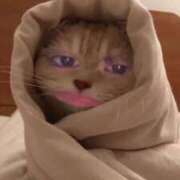 ヒメ日記 2025/07/06 23:30 投稿 るり（新人割引5/27まで） ウルトラグレイス24