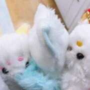 ヒメ日記 2025/07/12 14:22 投稿 るり（新人割引5/27まで） ウルトラグレイス24