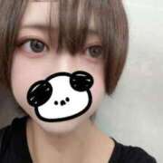 ヒメ日記 2025/08/06 11:53 投稿 るり（新人割引5/27まで） ウルトラグレイス24