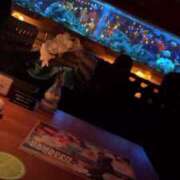 ヒメ日記 2025/08/10 20:30 投稿 るり（新人割引5/27まで） ウルトラグレイス24