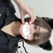 ヒメ日記 2025/08/26 23:20 投稿 るり（新人割引5/27まで） ウルトラグレイス24