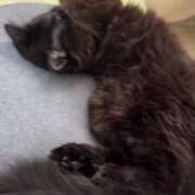 ヒメ日記 2025/09/06 15:50 投稿 るり（新人割引5/27まで） ウルトラグレイス24