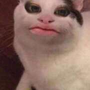 ヒメ日記 2025/10/16 10:58 投稿 るり（新人割引5/27まで） ウルトラグレイス24