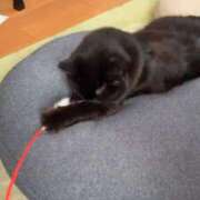 ヒメ日記 2025/11/12 00:30 投稿 るり（新人割引5/27まで） ウルトラグレイス24