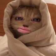 ヒメ日記 2025/11/13 16:30 投稿 るり（新人割引5/27まで） ウルトラグレイス24