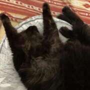 ヒメ日記 2025/12/01 11:20 投稿 るり（新人割引5/27まで） ウルトラグレイス24