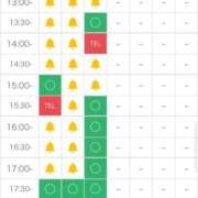 ヒメ日記 2025/12/05 09:33 投稿 るり（新人割引5/27まで） ウルトラグレイス24