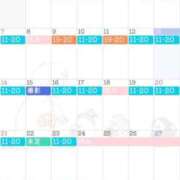 ヒメ日記 2025/12/13 14:00 投稿 るり（新人割引5/27まで） ウルトラグレイス24