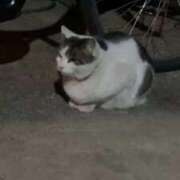 ヒメ日記 2025/12/17 00:10 投稿 るり（新人割引5/27まで） ウルトラグレイス24