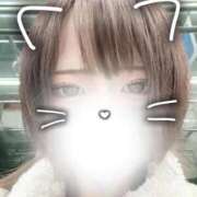 ヒメ日記 2026/03/17 10:55 投稿 るり（新人割引5/27まで） ウルトラグレイス24