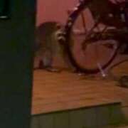 ヒメ日記 2026/04/01 00:50 投稿 るり（新人割引5/27まで） ウルトラグレイス24