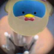 ヒメ日記 2026/04/15 10:55 投稿 るり（新人割引5/27まで） ウルトラグレイス24