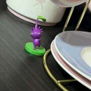 ヒメ日記 2025/12/14 20:31 投稿 ましろ 丸妻 厚木店