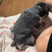 ヒメ日記 2026/03/28 17:58 投稿 ましろ 丸妻 厚木店