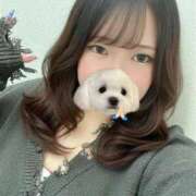 ヒメ日記 2026/10/03 12:58 投稿 ましろ モアグループ丸妻厚木店