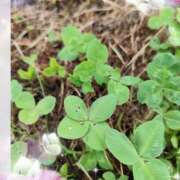 ヒメ日記 2025/05/23 15:08 投稿 もも Paradis-パラディ-