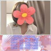 ヒメ日記 2025/08/24 16:48 投稿 もも Paradis-パラディ-