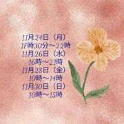 ヒメ日記 2025/11/24 10:18 投稿 もも Paradis-パラディ-