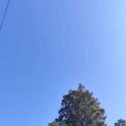 ヒメ日記 2025/11/29 16:58 投稿 もも Paradis-パラディ-