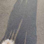 ヒメ日記 2025/12/02 15:08 投稿 もも Paradis-パラディ-