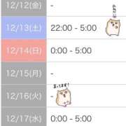 ヒメ日記 2025/12/11 17:53 投稿 るな★容姿端麗な極上ドエロ痴女 Bell～S級美女お姉様・人妻デリヘル～