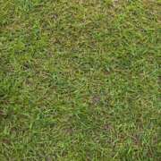 ヒメ日記 2025/05/18 15:55 投稿 しおん チューリップ土浦店