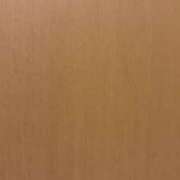 ヒメ日記 2025/06/15 20:38 投稿 しおん チューリップ土浦店