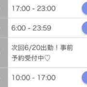 ヒメ日記 2025/06/16 20:28 投稿 しおん チューリップ土浦店