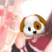 ヒメ日記 2025/06/23 09:48 投稿 しおん チューリップ土浦店