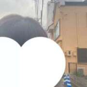 ヒメ日記 2025/09/16 06:32 投稿 しおん チューリップ土浦店