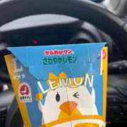 ヒメ日記 2025/11/23 11:46 投稿 しおん チューリップ土浦店