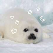 ヒメ日記 2025/05/19 17:02 投稿 のん あふたーすくーる本店